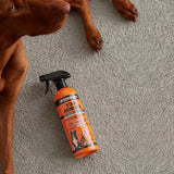 PetStandard Stain Remover