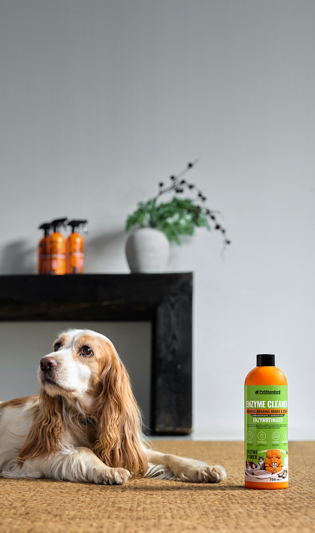 INNOVATIVE<br> SOLUTIONS FOR<br> PET OWNERS