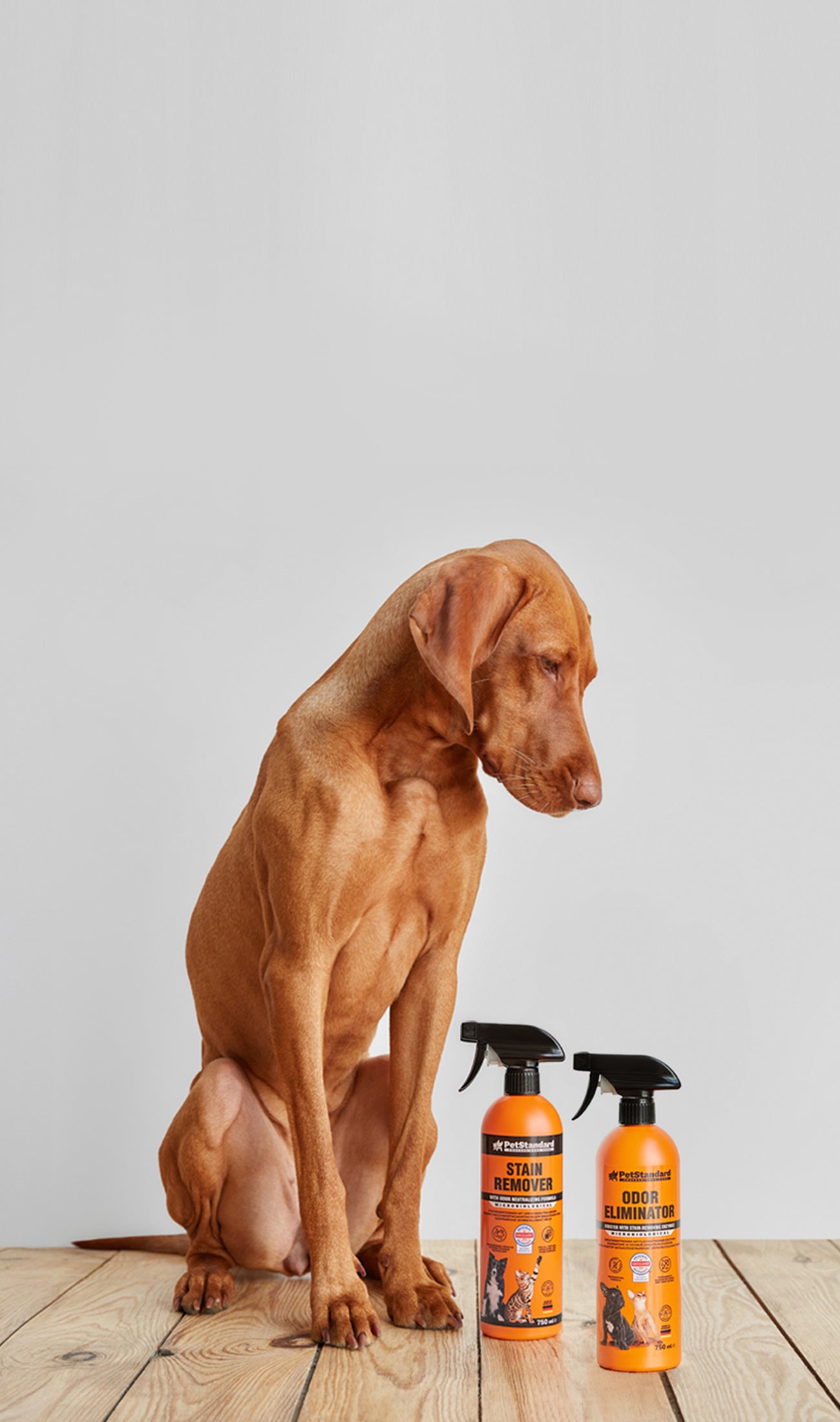 PROFESSIONAL<br>
ODOR & STAIN REMOVERS