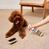 PetStandard Odor Control Spray for Pets