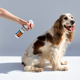 PetStandard Odor Control Spray for Pets